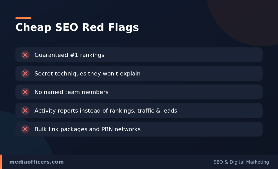 Cheap SEO red flags infographic