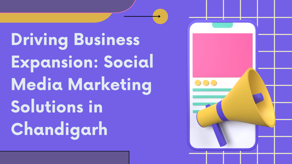 Driving Business Expansion Social Media Marketing Solutions in Chandigarh