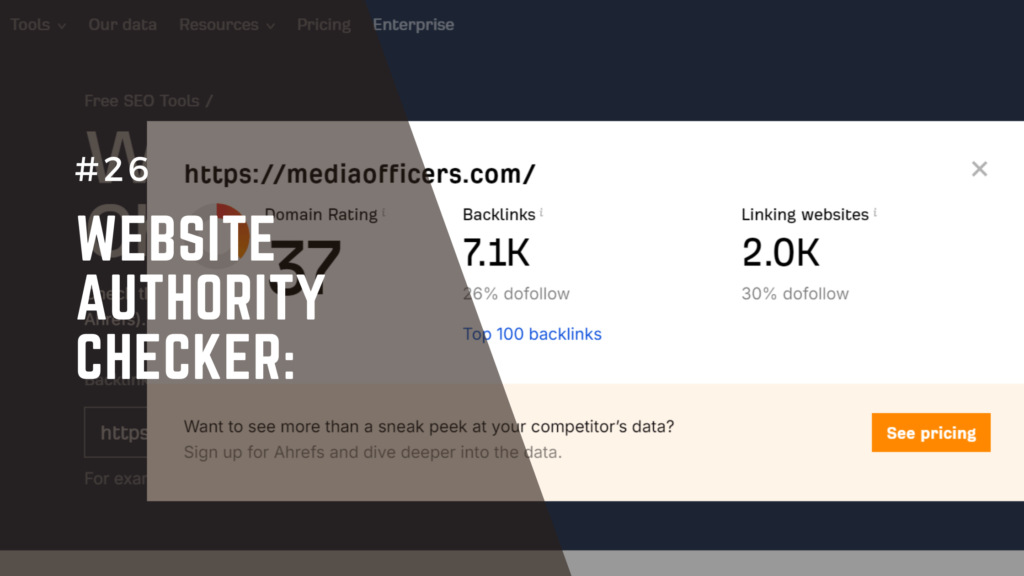 Website Authority Checker