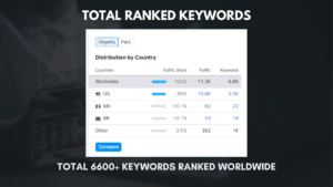 SEO Portfolio 13 13