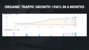 SEO Portfolio 21 5