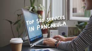 Top SEO Services in Panchkula