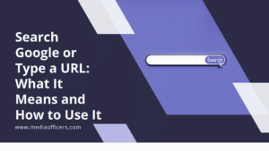 Search Google or Type a URL What It Means and How to Use It